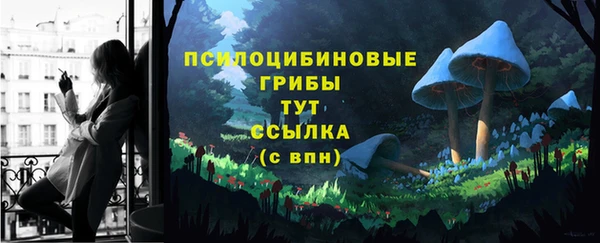 шишки Алексеевка