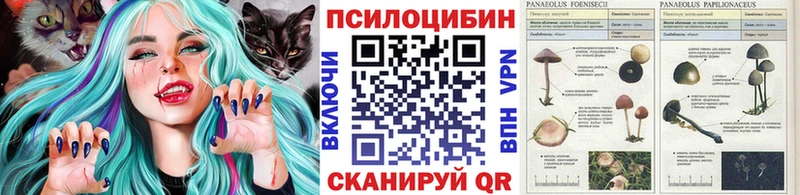 где продают наркотики  Татарск  Галлюциногенные грибы Cubensis 